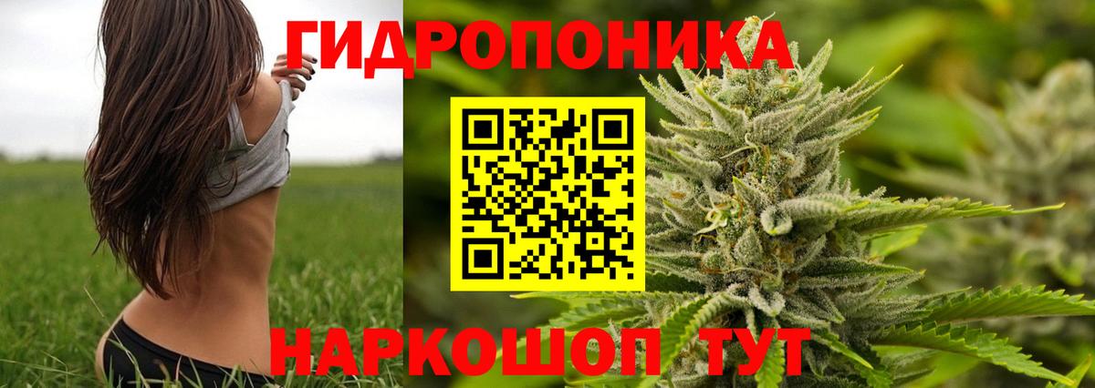 Майский  Канабис LSD WEED  Вход с VPN  Канабис OG Kush 